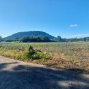 함덕초등학교선인분교 이미지