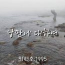 낭만도라지
