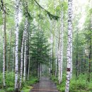 삼흥농장 | 민족의 정기가 서린 백두산 여행 푸른빛 천지