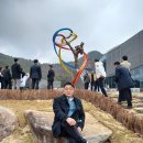 용인대태권도스포츠클럽 이미지