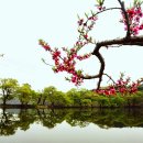 동내경로당 이미지