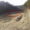 봉곡동042 이미지