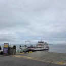 호랑가시나무민박 이미지