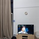 진안 hami숲 이미지