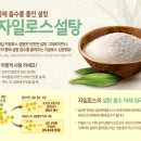 팀터틀랫유성 이미지
