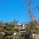 도림민박 이미지