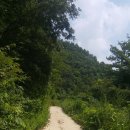 덩쿨농장 이미지