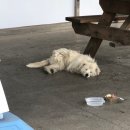 지에스 25 서평택IC점 이미지