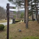 용문산 종합관광안내소 이미지