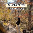 초록공원약수터 | 2025 설악산 오색약수터 단풍 현황 주전골 용소폭포