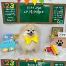 푸드르르 이미지