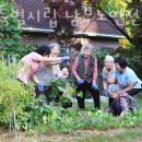 서울시립중랑노인전문요양원 | 군포요양원 서울특별시립 남부노인전문요양원 위치