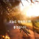 오늘보다더좋은 Daum카페