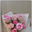 레플레르 이미지