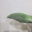 에스티뷰티 - 창원시 성산구 | 에스티뷰티