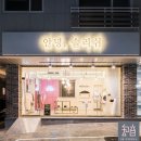 솔리쉬