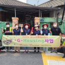 고치집 시정일보