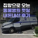 로잔동물병원 앞 | 집 앞으로 찾아오는 동물병원 " 펫팅 " 1편 | 내돈내산 솔직후기 | 고양이 건강검진 추천