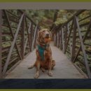 산청중산관광지 이미지