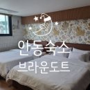 브라운도트 안동문화의거리점(구 포인트) | [안동숙소] 새로 오픈한 호텔은 언제나 깔끔!! - 안동 브라운도트 안동문화의거리점
