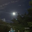 맷도리 이미지