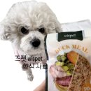 와즈펫(wispet) 네이버블로그