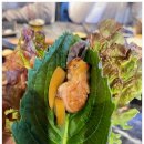 상남동102 이미지