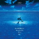 그랑블루 이미지