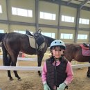 인천 승마장 | 학생승마지원사업 인천승마장 후기-마지막 수업의 아쉬움🐴