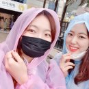 자몽호스텔 이미지