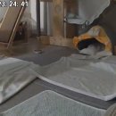 24시 창원2차동물의료원 이미지