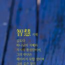 한몸 이미지