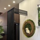 조리고 본점 | 평택 조리고 본점_가오리찜,코다리찜,새우튀김 솔직 후기!!