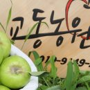 교동들녘 이미지