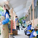 고치고 뉴스캔