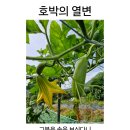 경남기독문인회 청지기, 윤정숙집사 이미지
