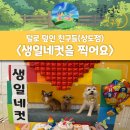 상도유치원 | [상도동/강아지 유치원] 상도역 애견 유치원 후기 / 강아지 유치원 프로그램 &#34;생일 기념 촬영&#34;/ 산책...