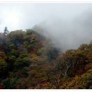 9/12[일]설악산4암자길 (백담사,영시암,오세암,봉정암)-산행안내/좌석표 이미지