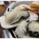 싱싱회관 이미지