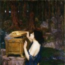 판도라의 숲 이미지