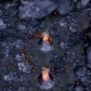 인피니티솔루션(주) 이미지