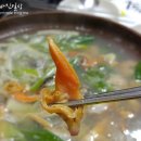 5평바다