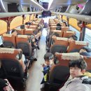 용인대대일태권도장
