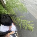 효자우리약국 이미지