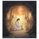 달빛여우 이미지