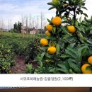 성심사우나 이미지
