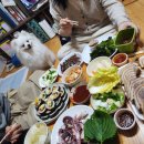 울진 제일약국 | 강아지 동반 울진여행, 강아지 멀미 예방법