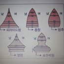 제3장 지역과 사회 제1절 인구(4월 9일 강의안) 이미지