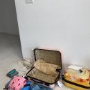 CU 진주우리들점 | 북부 여행 인천공항 출발 피크타임 모닝투어 비엣젯항공 페퍼스파 마사지 호국사 진주박물관 킹콩마트
