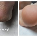 단미청 이미지